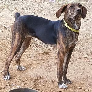 Meet your Posher, Brad